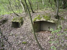 Ligne Maginot - BOIS DE KANFEN - X5 - (Abri) - Niches pour stockage de matériel à proximité de l'abri
