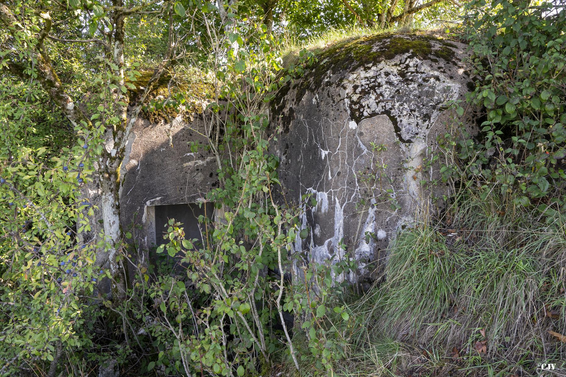 Ligne Maginot - B3 - LE BAS DES PRÉS SUD - (Blockhaus pour canon) - Les entrées - Lia VERMEULEN