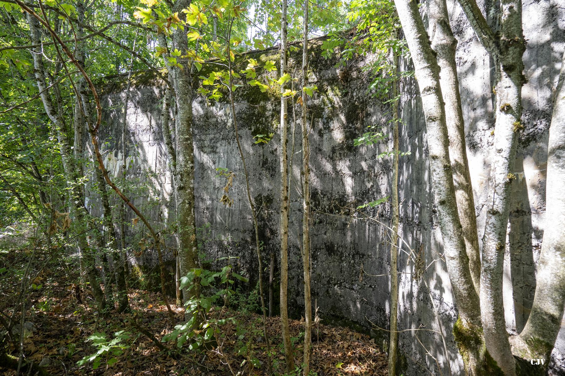 Ligne Maginot - C4 - LE BÉLIEU - (Blockhaus lourd type STG / STG-FCR - Double) - Coté arrière - Lia VERMEULEN