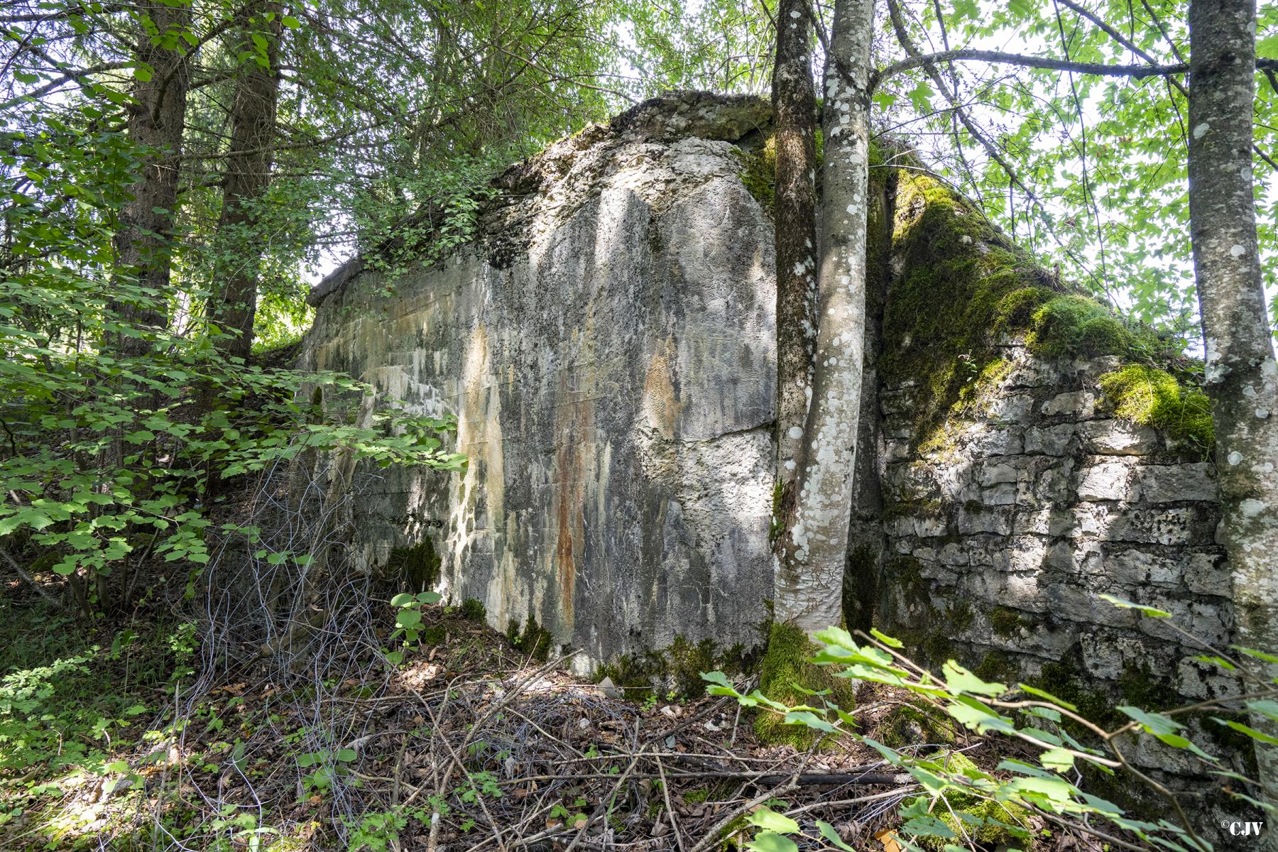 Ligne Maginot - B7 - MEIX-VANNOT - (Blockhaus pour canon) - L'entrée est remblayé - Lia VERMEULEN