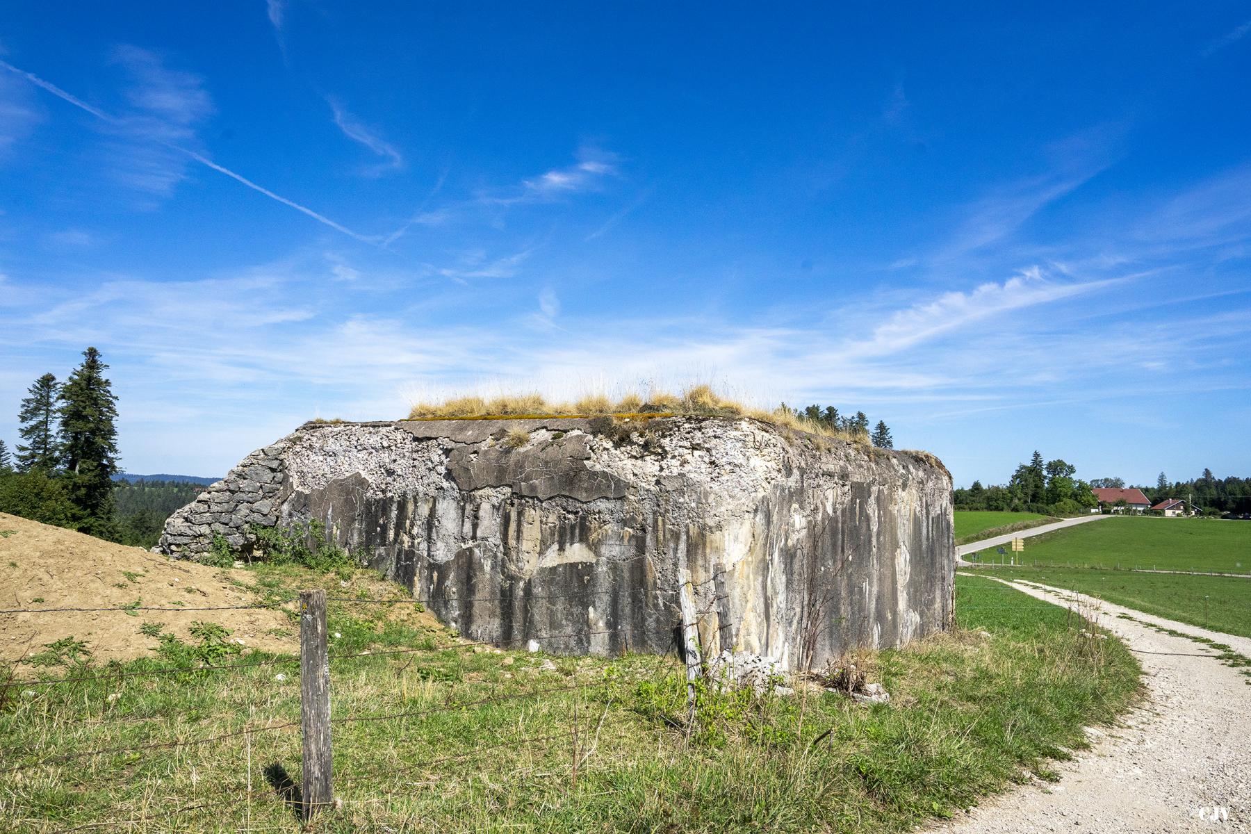 Ligne Maginot - B6 - LES RICHARD - (Blockhaus pour arme infanterie) - L'arrière - Lia VERMEULEN