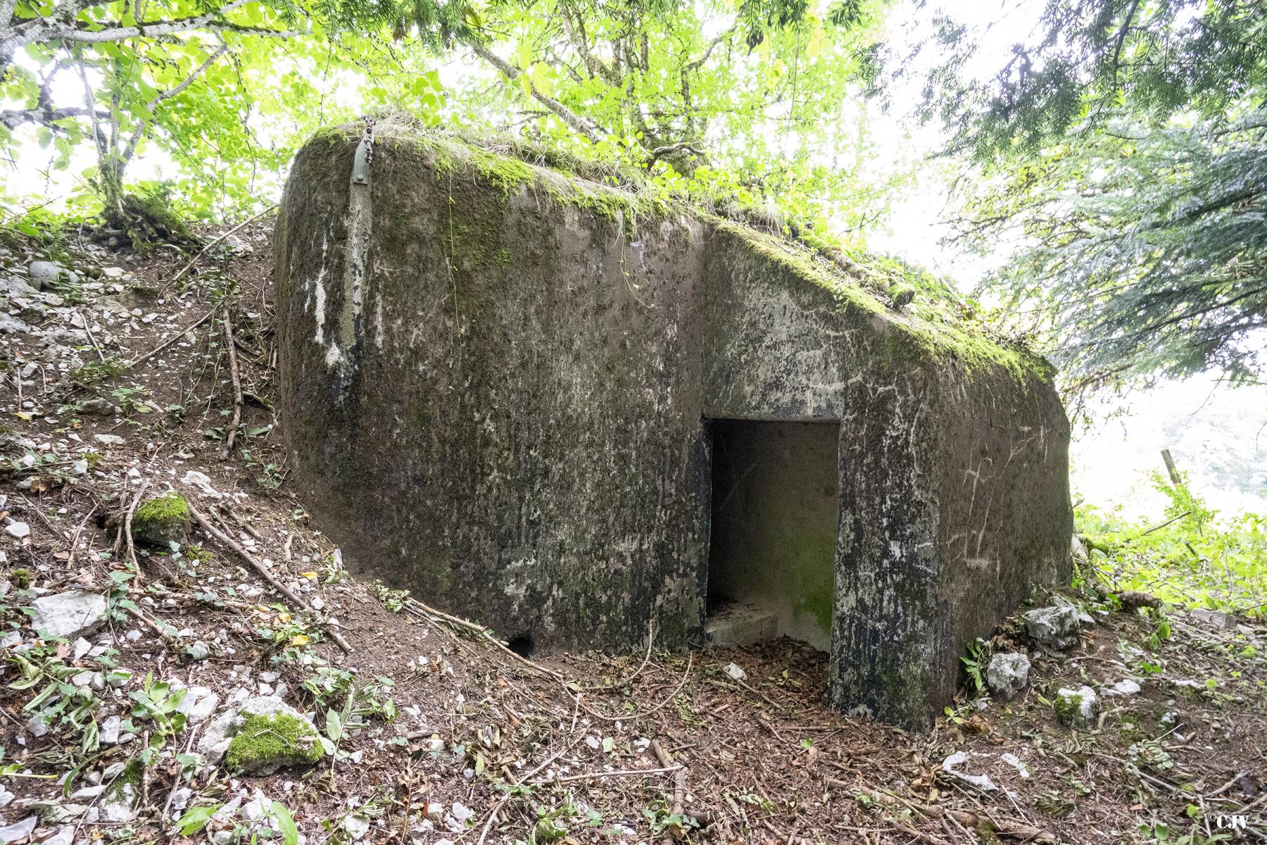 Ligne Maginot - B13 - CHEZ CARTIER - (Blockhaus pour arme infanterie) - L'entrée - Lia VERMEULEN