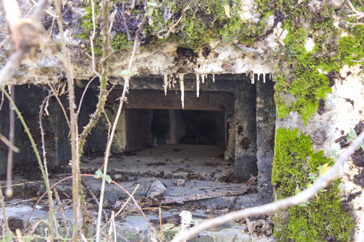Ligne Maginot - M37B - (Blockhaus de type indeterminé) -  - Jin Jac