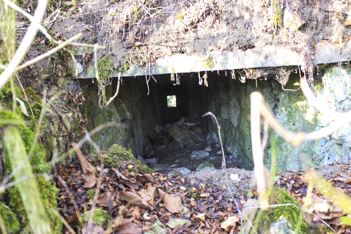 Ligne Maginot - M37B - (Blockhaus de type indeterminé) -  - Jin Jac