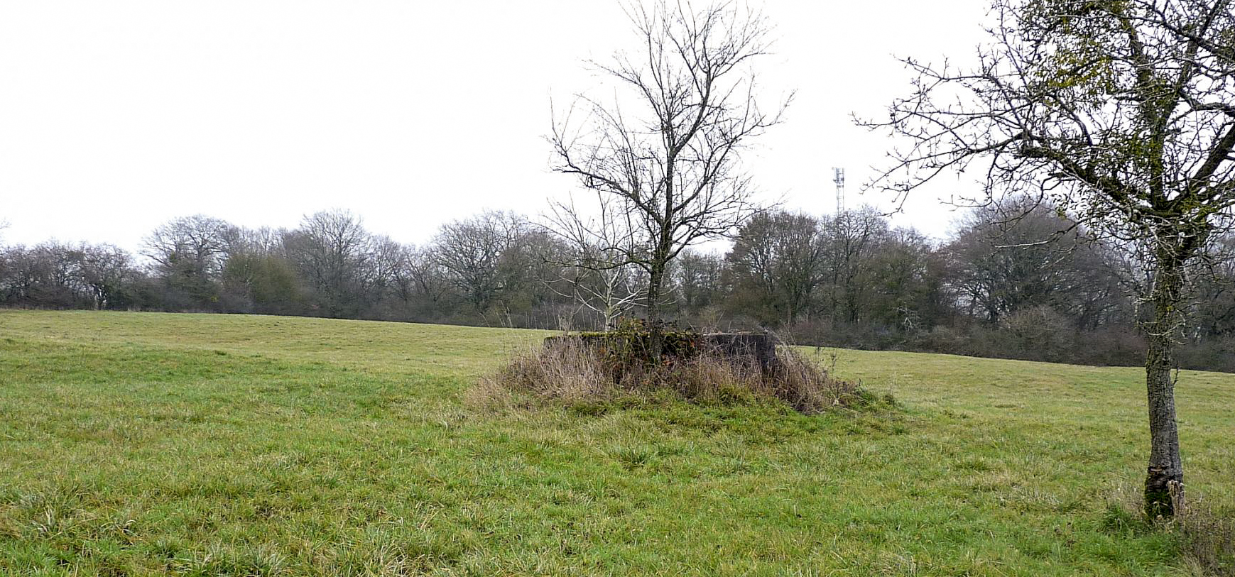 Ligne Maginot - LE 75 2 - (Blockhaus pour arme infanterie) -  - Sylvie Laure LAMBERT