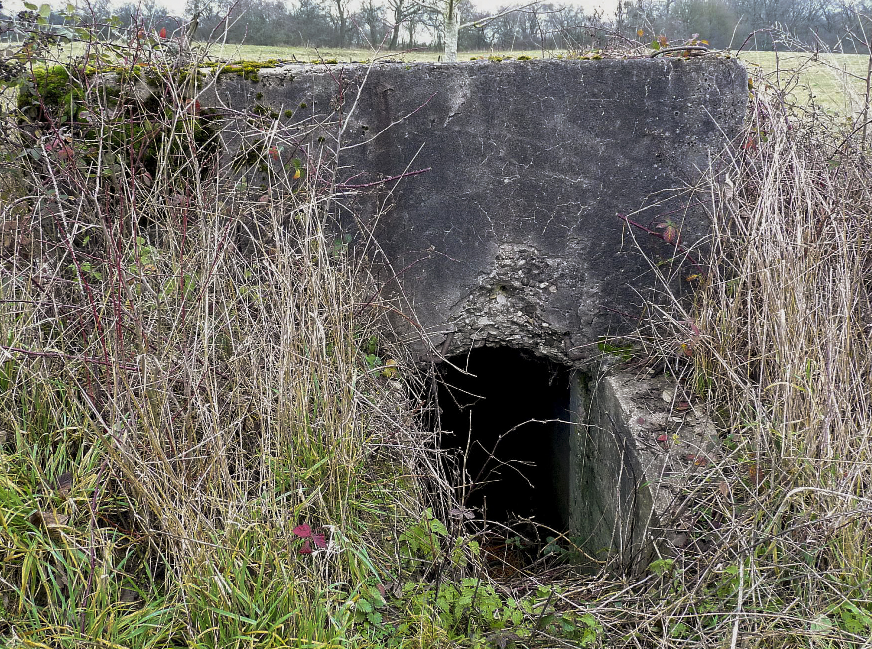 Ligne Maginot - LE 75 2 - (Blockhaus pour arme infanterie) -  - Sylvie Laure LAMBERT