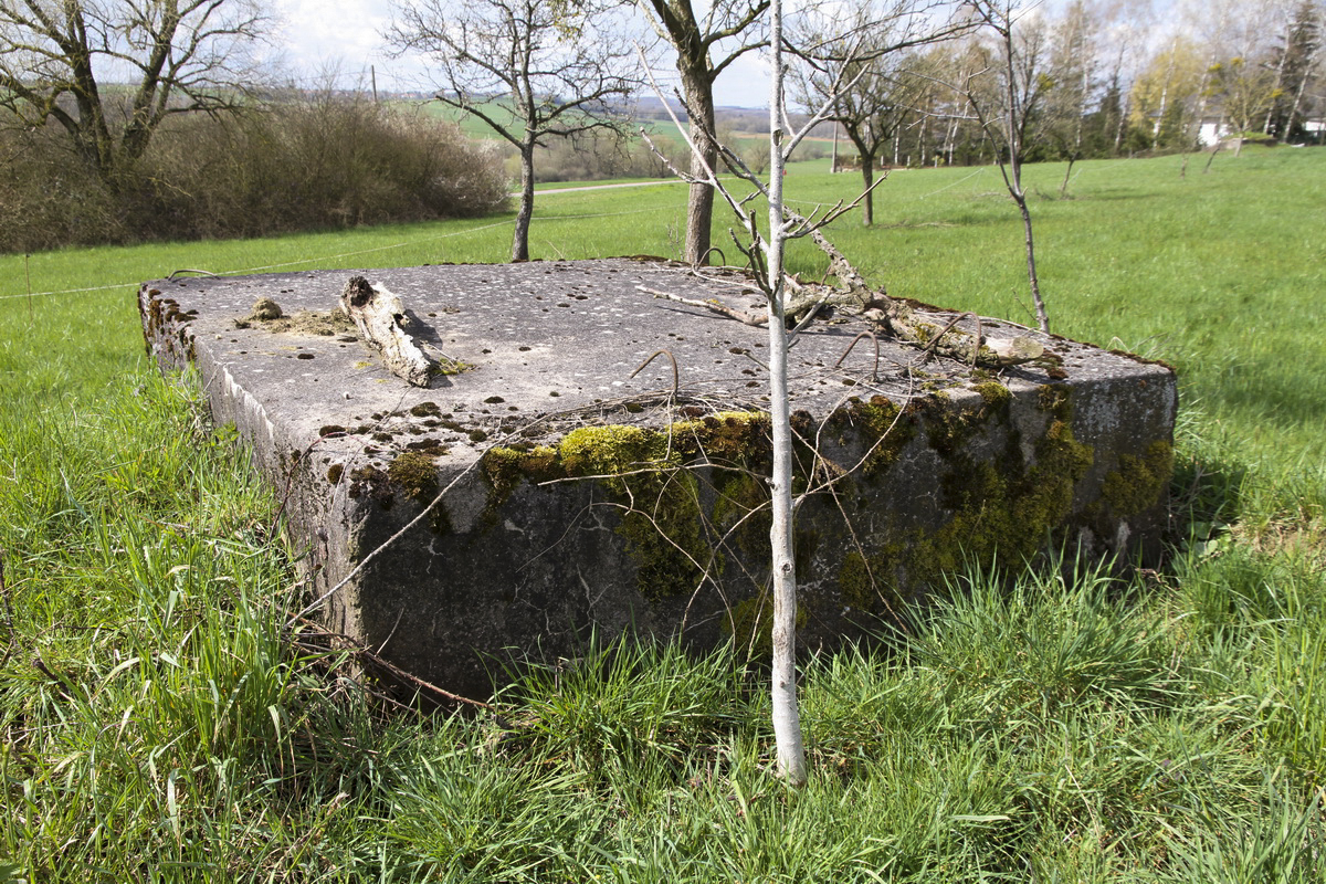 Ligne Maginot - LE 75 2 - (Blockhaus pour arme infanterie) -  - Alain Perouffe