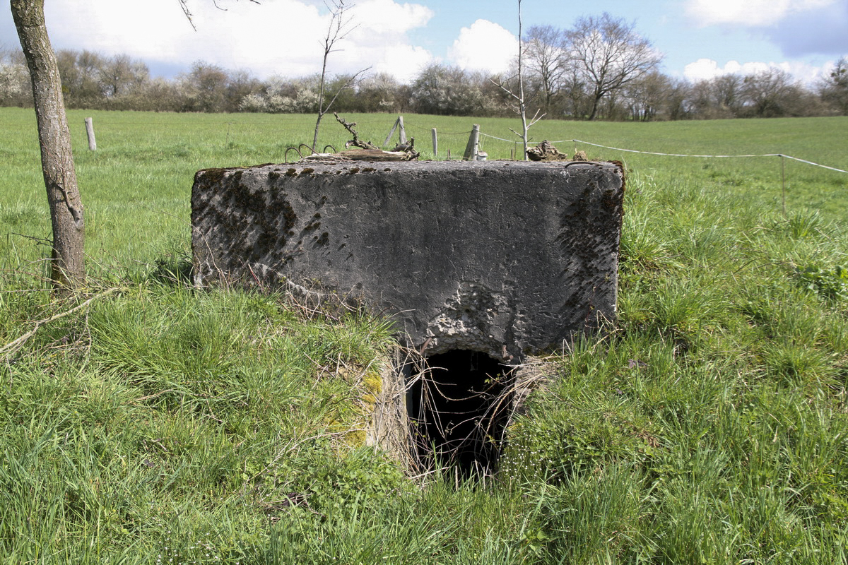 Ligne Maginot - LE 75 2 - (Blockhaus pour arme infanterie) -  - Alain Perouffe