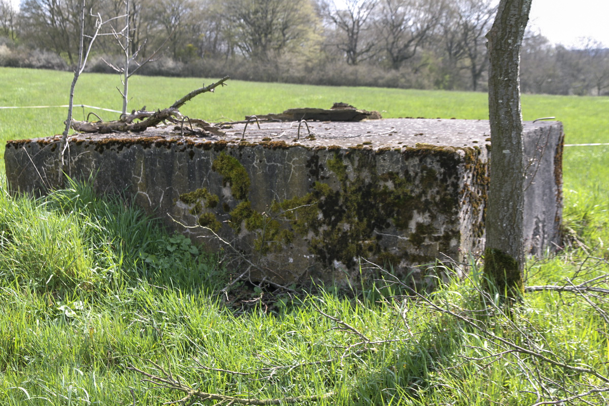 Ligne Maginot - LE 75 2 - (Blockhaus pour arme infanterie) -  - Alain Perouffe