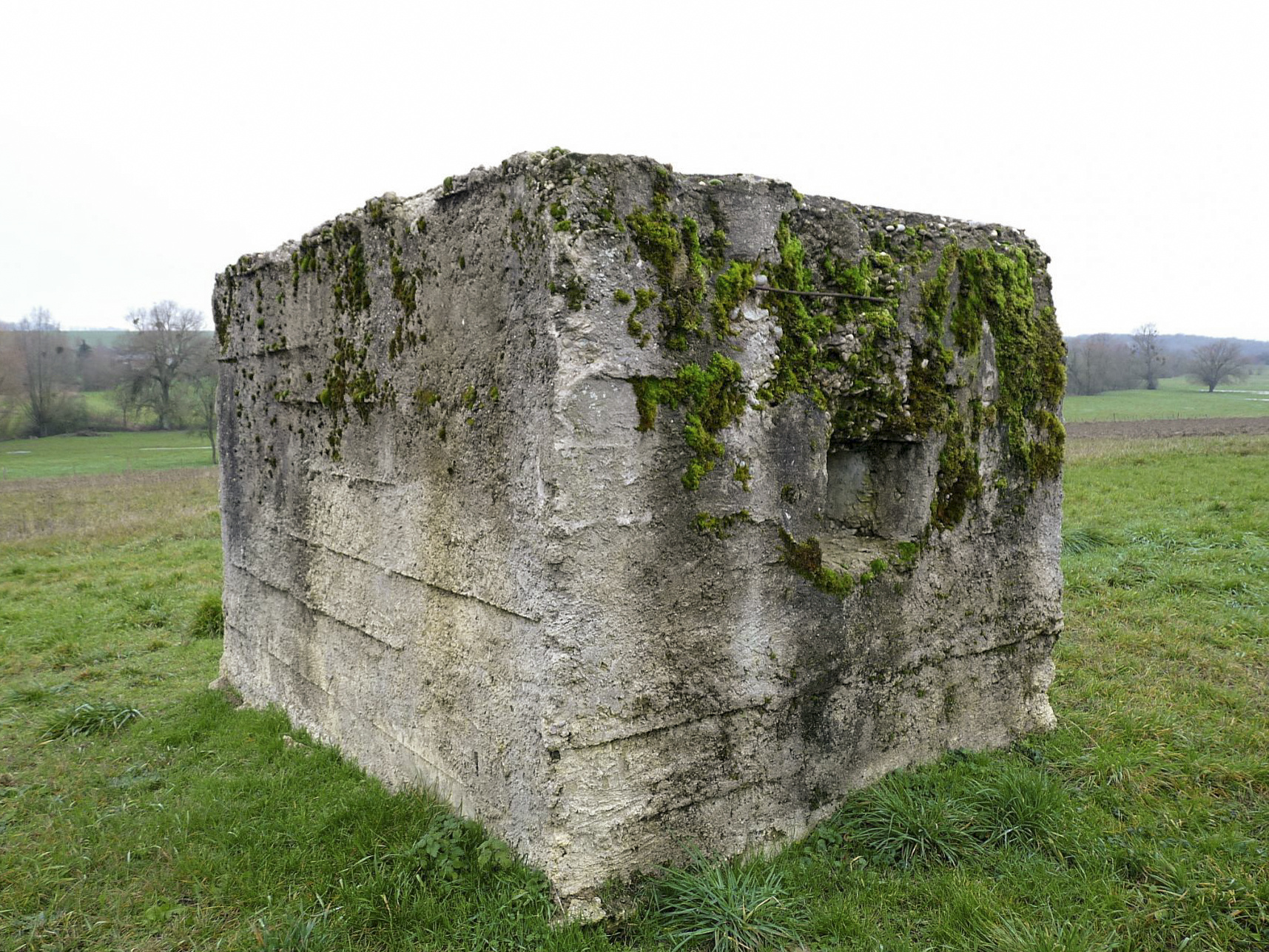 Ligne Maginot - LE 75 3 - (Blockhaus pour arme infanterie) -  - Sylvie Laure LAMBERT