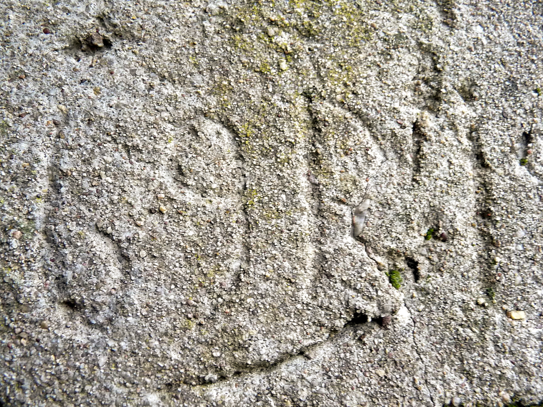 Ligne Maginot - LE 75 3 - (Blockhaus pour arme infanterie) - Inscription sur l'avant du blockhaus au dessus de l'entrée - Sylvie Laure LAMBERT