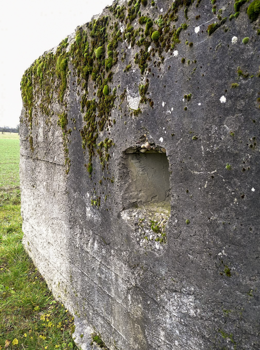 Ligne Maginot - LE 75 3 - (Blockhaus pour arme infanterie) -  - Sylvie Laure LAMBERT