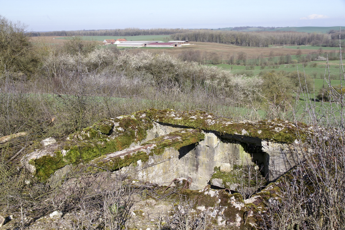 Ligne Maginot - LE BOUT 2 - (Blockhaus pour arme infanterie) -  - Alain Perouffe