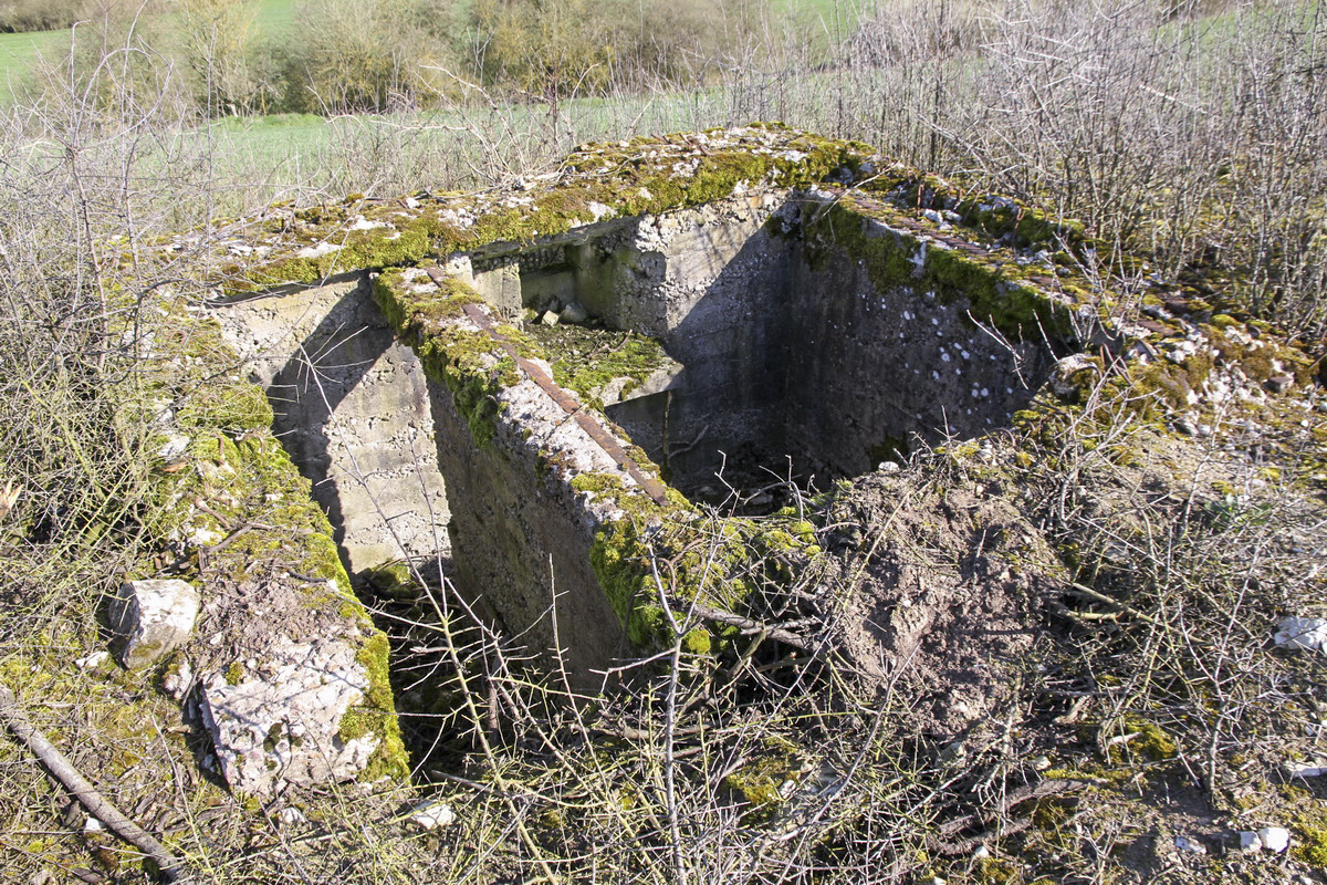 Ligne Maginot - LE BOUT 2 - (Blockhaus pour arme infanterie) -  - Alain Perouffe