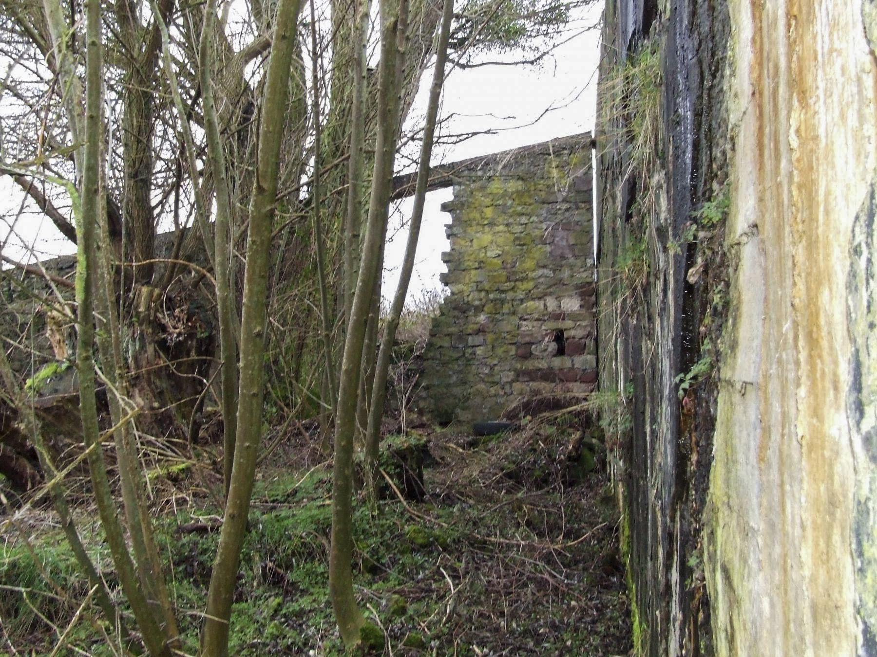 Ligne Maginot - MC39B - MC17 - (Casemate d'infanterie) - Le mur d'aile en maçonnerie. - STENGER Mathieu