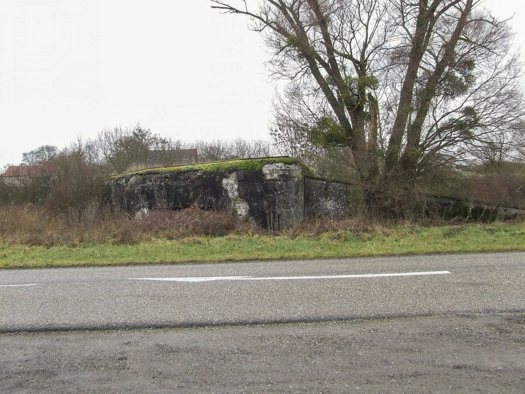 Ligne Maginot - MC39B - MC17 - (Casemate d'infanterie) - Le blockhaus STG MC17 près de la route de Biding. - STENGER Mathieu