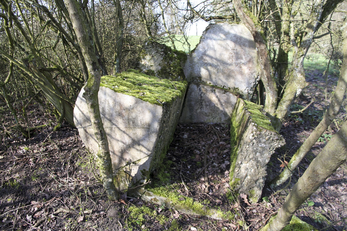 Ligne Maginot - MISTBERG 4 - (Observatoire d'infanterie) - Les restes de l'observatoire.
Bloc vertical à l'origine - Alain Perouffe