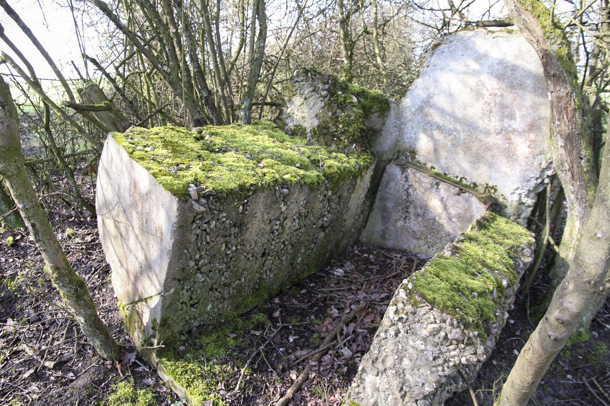 Ligne Maginot - MISTBERG 4 - (Observatoire d'infanterie) - Les restes de l'observatoire.
Bloc vertical à l'origine - Alain Perouffe