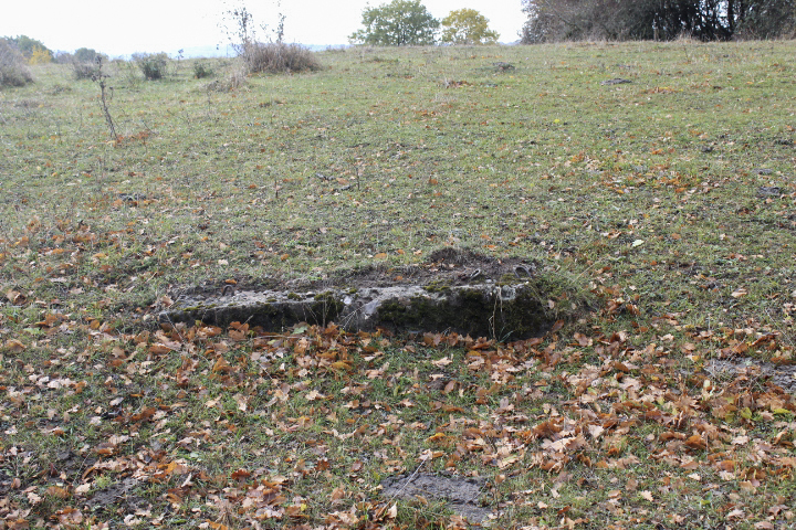 Ligne Maginot - MISTBERG 4 - (Observatoire d'infanterie) - A quelques mètres....les fondations de l'observatoire ?  - jin jac