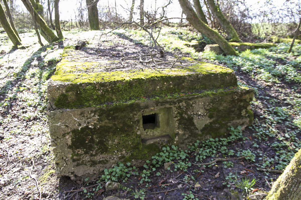 Ligne Maginot - MISTBERG 3 -  - Alain Perouffe