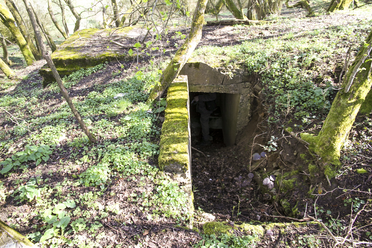 Ligne Maginot - MISTBERG 3 -  - Alain Perouffe