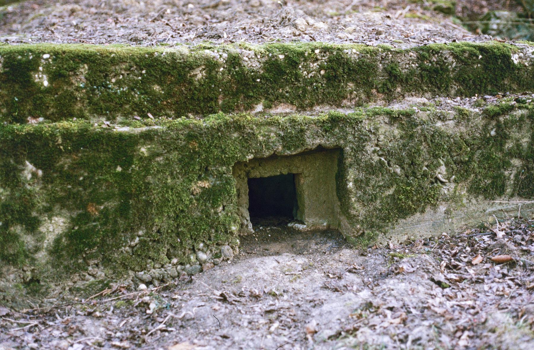 Ligne Maginot - MISTBERG 3 - (Blockhaus pour arme infanterie) -  - MANSUY Michel