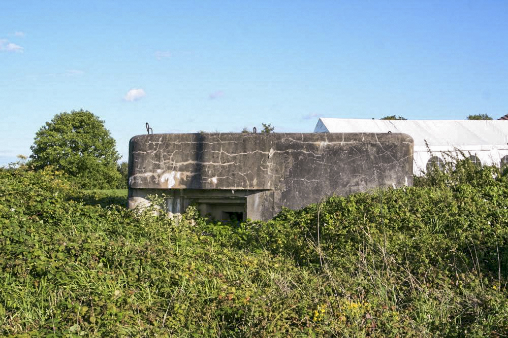 Ligne Maginot - DOMFESSEL Gare (Blockhaus pour arme infanterie) -  - T. BACH