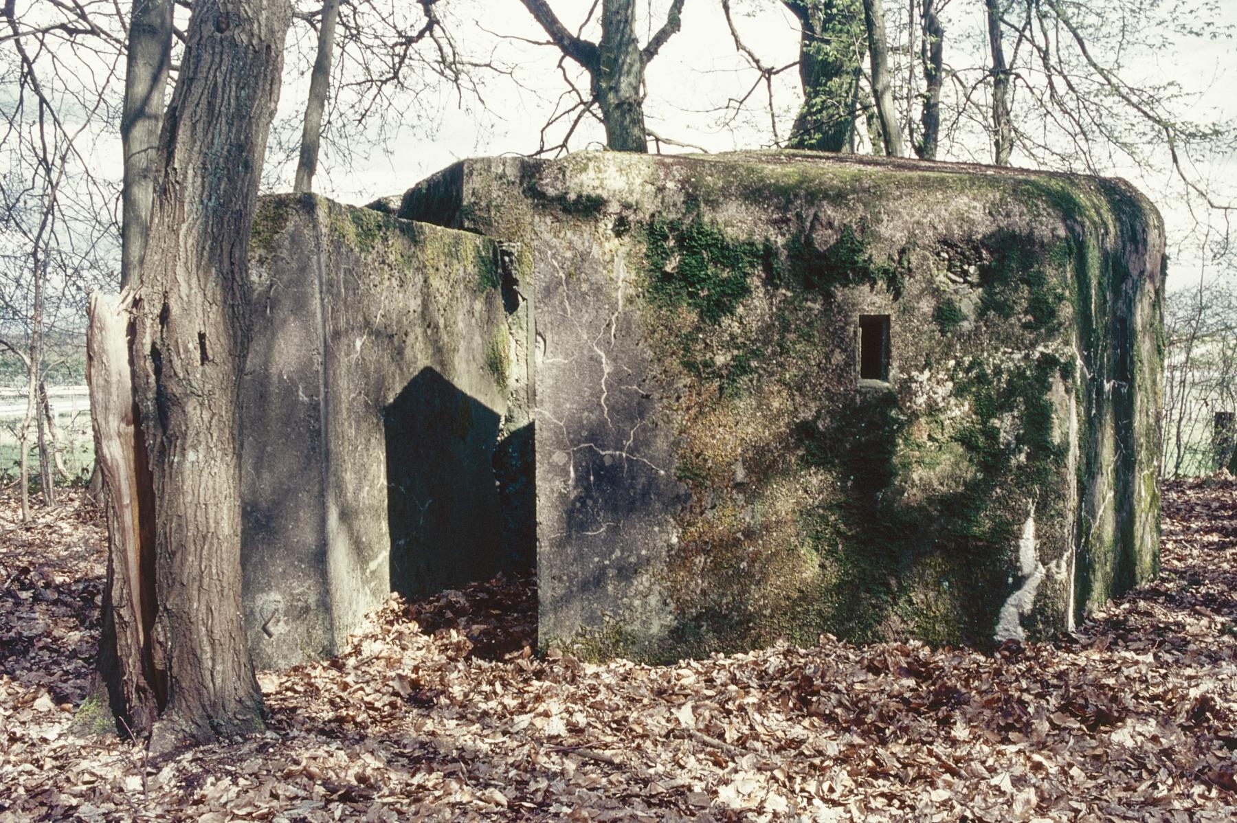 Ligne Maginot - C4B - GRUNDVILLER 2 - (Blockhaus pour arme infanterie) - L'accès au blockhaus - MANSUY Michel