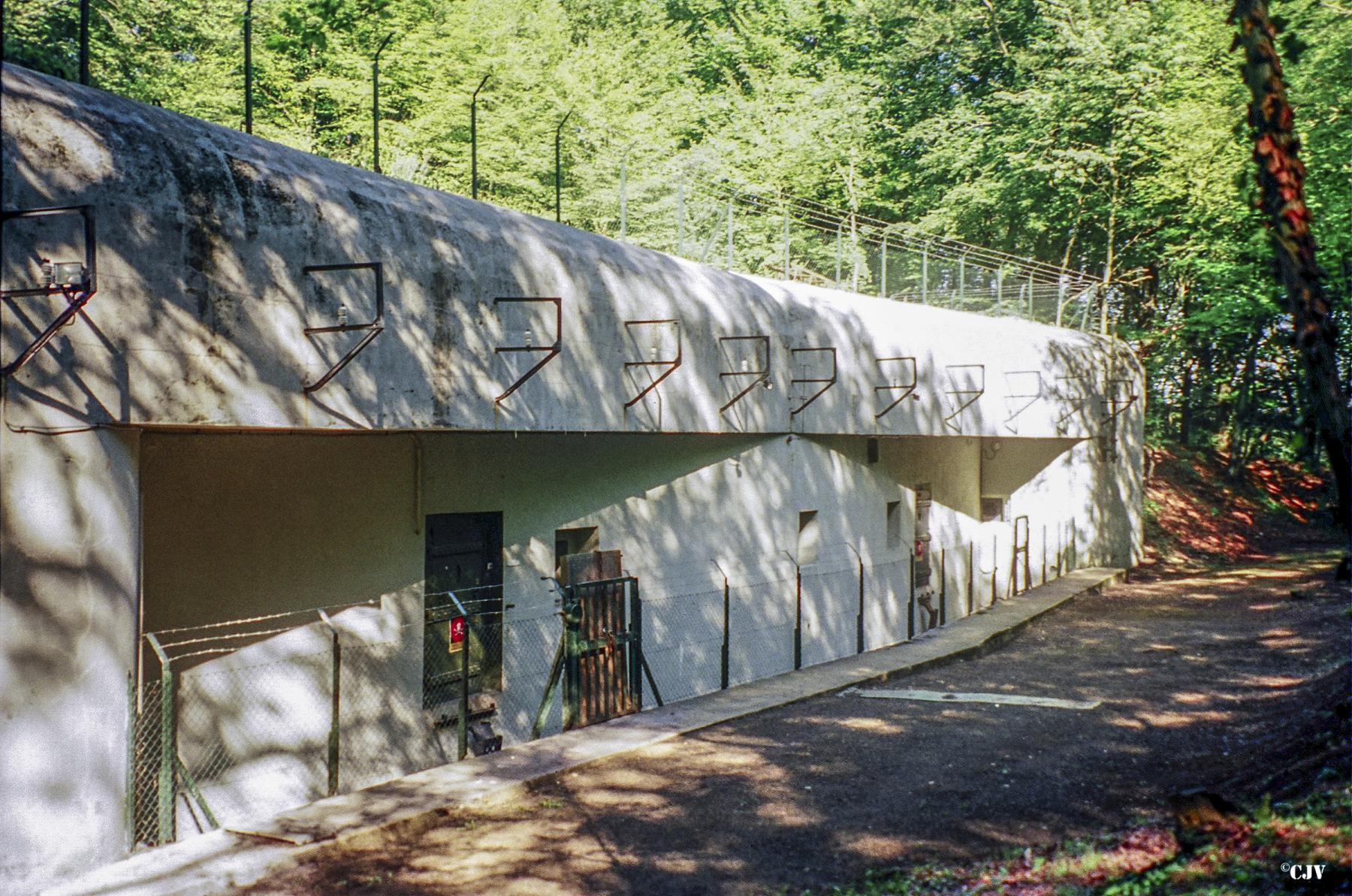 Ligne Maginot - BOCKANGE - X31 (QUARTIER VALMUNSTER - I/162°RIF) - (Abri) -  - Lia VERMEULEN