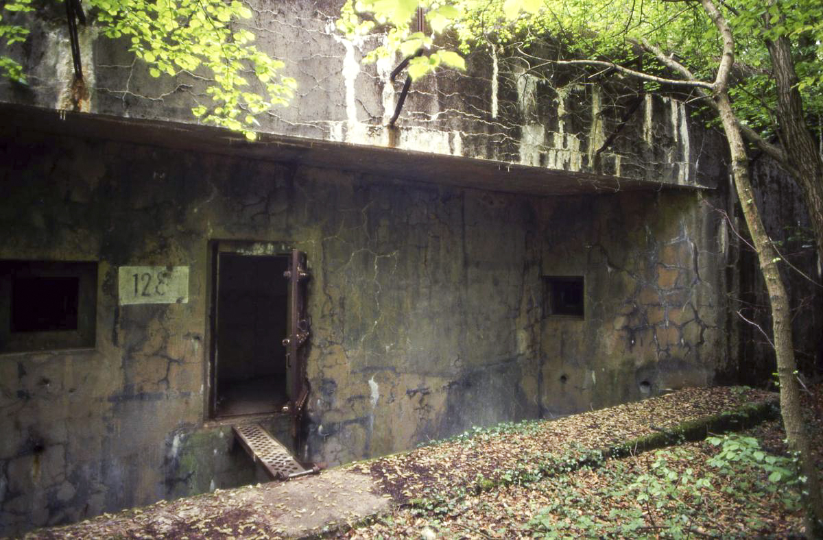 Ligne Maginot - BOCKANGE - X31 (QUARTIER VALMUNSTER - I/162°RIF) - (Abri) -  - Valentin Hemmert