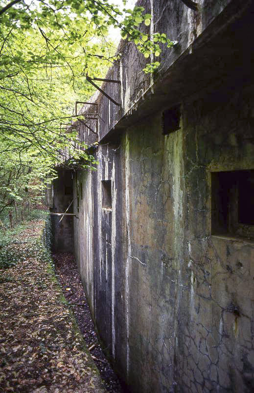Ligne Maginot - BOCKANGE - X31 (QUARTIER VALMUNSTER - I/162°RIF) - (Abri) -  - Valentin Hemmert