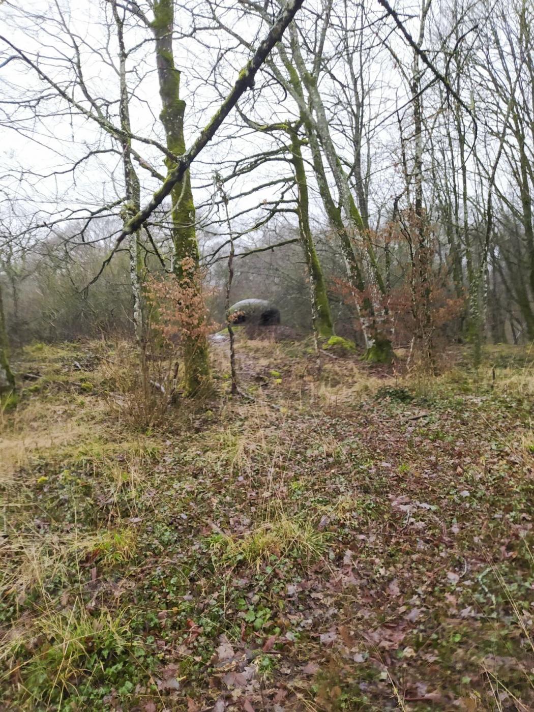 Ligne Maginot - BOIS DE KANFEN - X5 - (Abri) - Vue au loin de l'abri et sur sa cloche GFM restante. - Rominoutche