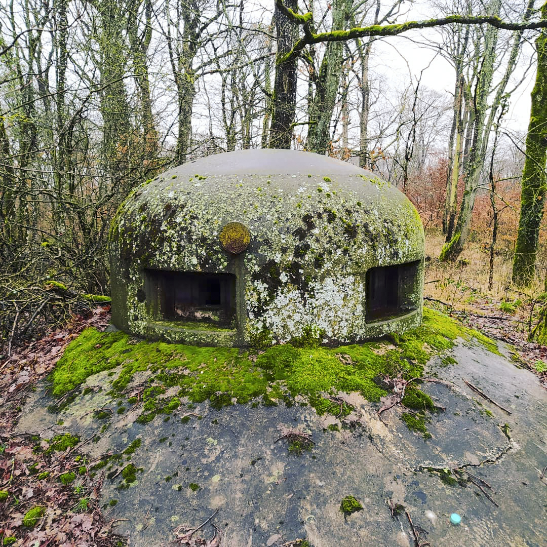 Ligne Maginot - BOIS DE KANFEN - X5 - (Abri) - La cloche GFM restante vue de l'extérieur. - Rominoutche