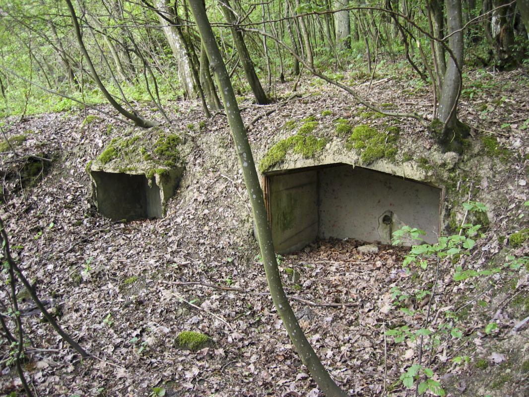 Ligne Maginot - BOIS DE KANFEN - X5 - (Abri) - Niches pour stockage de matériel à proximité de l'abri - Michel Teiten