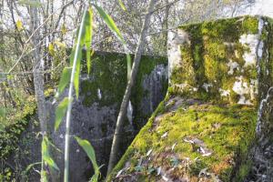 Ligne Maginot - LANGENBACH - (Inondation défensive) - 