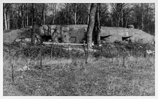 Ligne Maginot - BOIS D'OTTONVILLE - BCA1 - (Casemate d'artillerie) - 