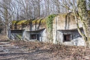 Ligne Maginot - BOIS D'OTTONVILLE - BCA1 - (Casemate d'artillerie) - Les deux embrasures pour canons de 75 et l'observatoire frontal