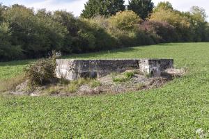 Ligne Maginot - HAGEN SUD 2 - (Blockhaus de type indéterminé) - Vue coté sud/sud-est