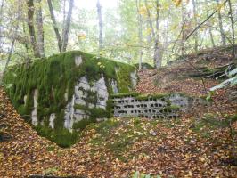 Ligne Maginot - HERBITZHEIM 30 - (Abri) - L'entrée
