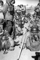 Ligne Maginot - REDOUTE RUINEE - (Ouvrage d'infanterie) - L'avant poste le 02 juillet 1940
L'armistice signé, l'équipage se prépare au départ