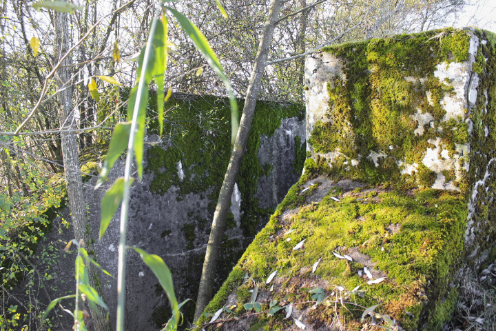 Ligne Maginot - LANGENBACH - (Inondation défensive) -  - JIN JAC
