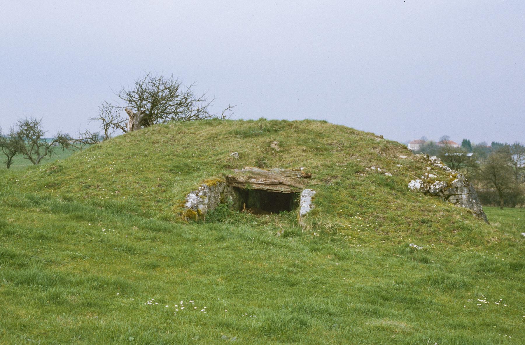 Ligne Maginot - M31B - (Blockhaus pour arme infanterie) -  - MANSUY Michel