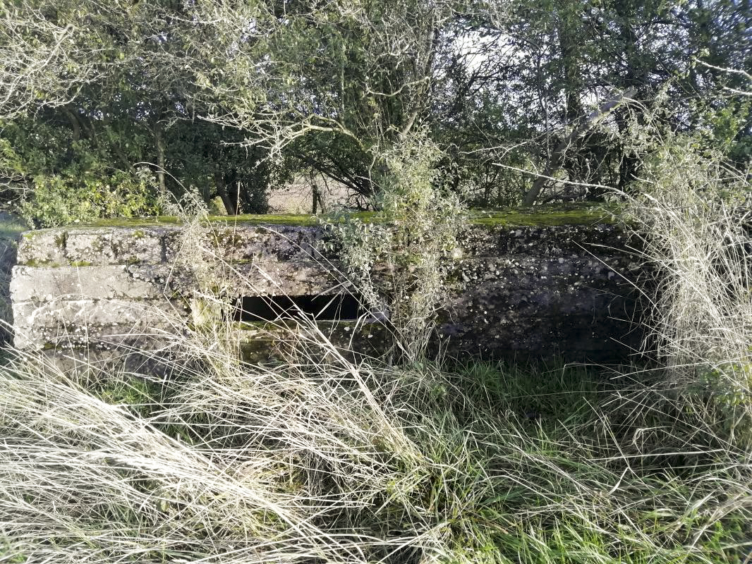 Ligne Maginot - SCHEIDE 1 - (Blockhaus pour arme infanterie) - Face nord-ouest - Jin Jac