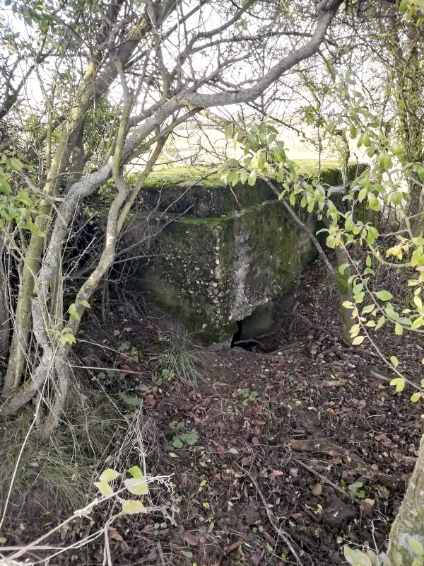 Ligne Maginot - SCHEIDE 1 - (Blockhaus pour arme infanterie) - Entrée coté sud-est - Jin Jac