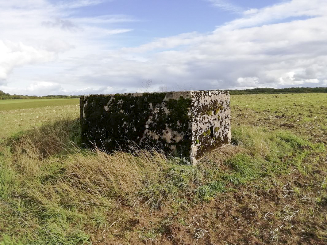 Ligne Maginot - STRANGETZEL OUEST - (Blockhaus de type indeterminé) -         - Jin Jac
