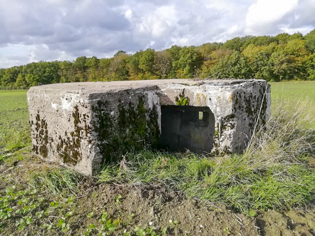 Ligne Maginot - STRANGETZEL EST - (Blockhaus de type indeterminé) - L'entrée - Jin Jac