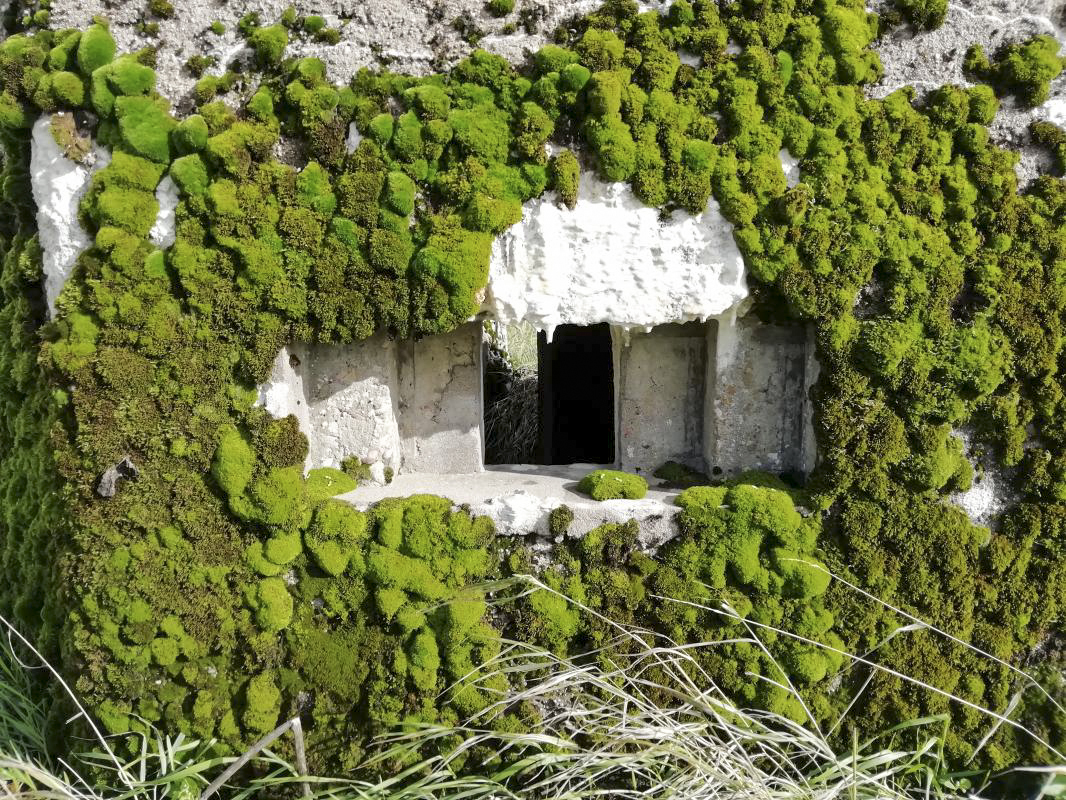 Ligne Maginot - STRANGETZEL EST - (Blockhaus de type indeterminé) -      - Jin Jac