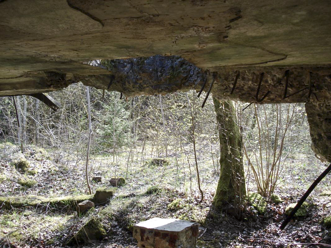 Ligne Maginot - MF20 - W - BOUCHON DES RAPPES - (Poste GRM - Maison Forte) - Vue vers l'arrière - R Tucker