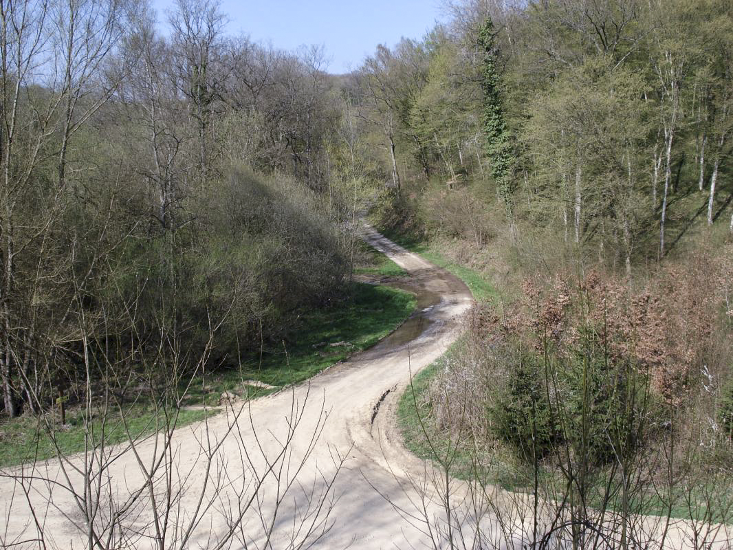 Ligne Maginot - MF20 - W - BOUCHON DES RAPPES - (Poste GRM - Maison Forte) - Vue vers le nord-est - R Tucker