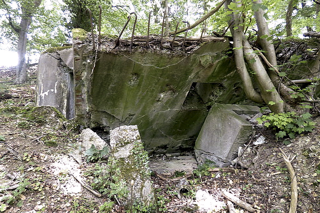 Ligne Maginot - HELFEDANGE - GUINGLANGE (SF FAULQUEMONT) - (PC de Secteur) - PC du temps de guerre    - Sylvie Laure LAMBERT